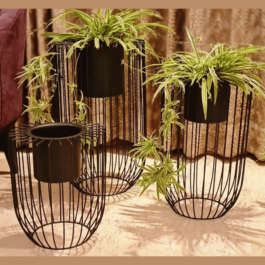 Phooldaan | Indoor Planters Set