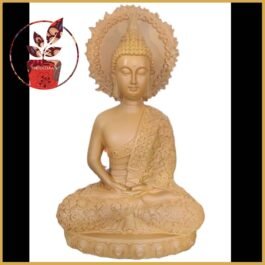 Phooldaan | Meditation Buddha 12inch