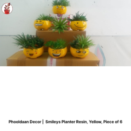 Smiley Planter Resin, Yellow, Piece of 6