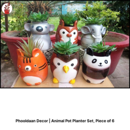 Animal Pot Planter Set Piece of 6