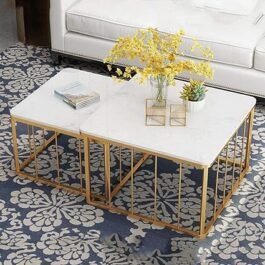 Phooldaan | Nesting Coffee Table with Marble Top and Gold Metal Frame