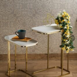 Phooldaan | Rectangle Iron Stand Side Marble Table Set of 2
