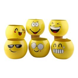 Phooldaan | Wall Mounted Smiley Emoji Hanging Planter | (Set of 6)