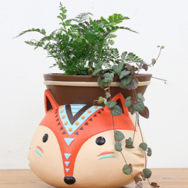 Phooldaan | Small Fox Planters Pot | Set Of 2 Pcs | Multicolor