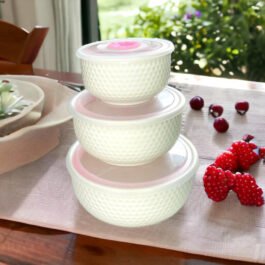 Versatile Ceramic Bowl with Plastic Cover | Set of 3