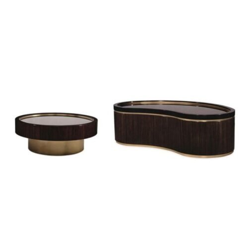 Set of 2 Modern design Center tables