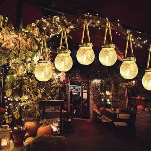 Outdoor garden with decorative hanging lights and pumpkins